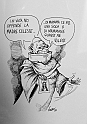 Asini, Muli, Corvi, Maiali_070